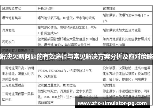 解决欠薪问题的有效途径与常见解决方案分析及应对策略